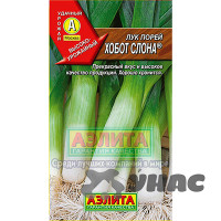Лук порей Хобот слона Аэлита Ц