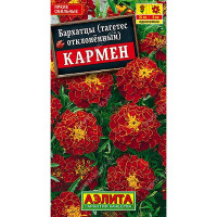 Бархатцы Кармен отклоненные Аэлита Ц