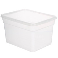 Ящик для хранения с крышкой 5л BASIC, полипропилен, 25х19х16см