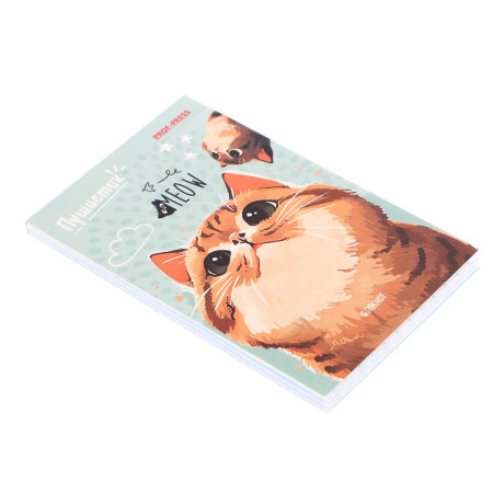 Блокнот А7, 48л, офсет, обложка картон, склейка, в ассортименте