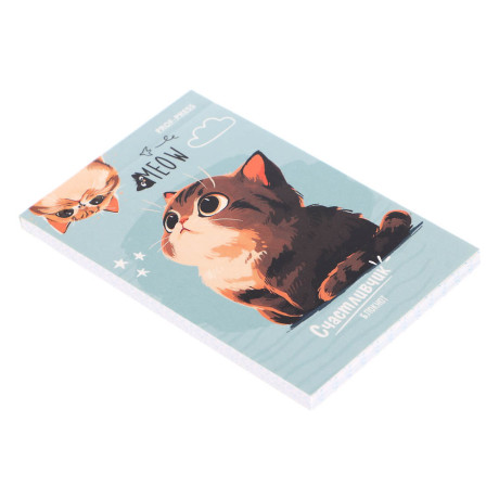 Блокнот А7, 48л, офсет, обложка картон, склейка, в ассортименте