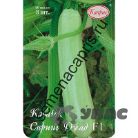 Кабачок Спринг Джад (Франция) Каприс