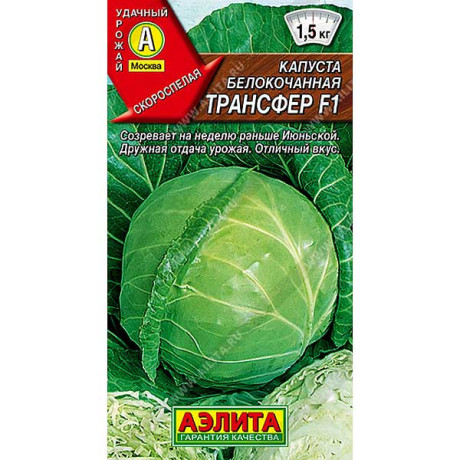 Капуста Трансфер Аэлита Ц