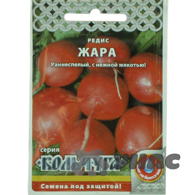 Редис Жара "Кольчуга" НК