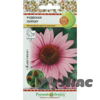 Рудбекия Пурпур НК Ц