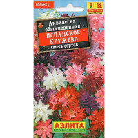 Аквилегия  Испанское кружево Аэлита Ц