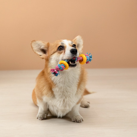 VETTA Игрушка для домашних животных, хлопок, ТПР, 22,5 см