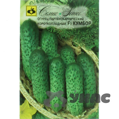Огурец Кумбор Семко Ц
