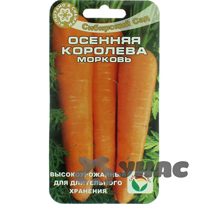 Морковь Осенняя королева СибСад Ц