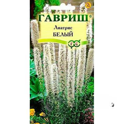 Лиатрис Белый Гавриш Ц