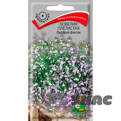 Лобелия Лиловый фонтан Поиск Ц