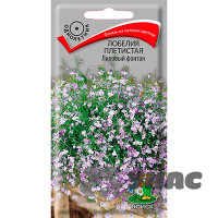 Лобелия Лиловый фонтан Поиск Ц