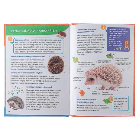 ПРОФ-ПРЕСС Энциклопедия "Для маленьких почемучек", 14,5х20,5см, 48 стр, 4 дизайна