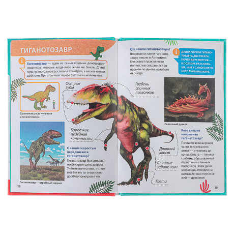 ПРОФ-ПРЕСС Энциклопедия "Для маленьких почемучек", 14,5х20,5см, 48 стр, 4 дизайна