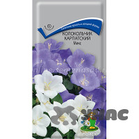 Колокольчик Микс карпатский Поиск Ц