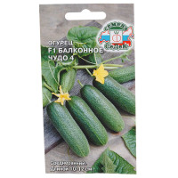 Огурец Балконное чудо 4 Седек