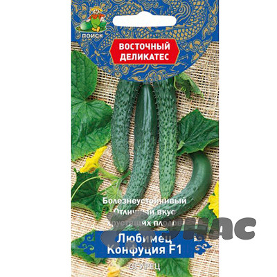 Огурец Любимец Конфуция Поиск Ц