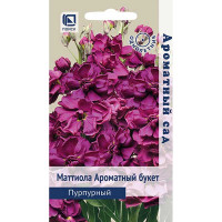Маттиола Ароматный Букет Пурпурный Поиск Ц