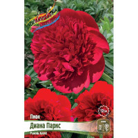 Пион Диана Паркс 2/3 n 1 шт