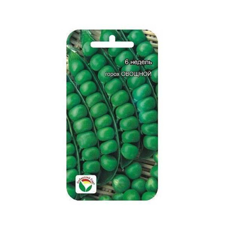 Горох 6 недель СибСад Ц