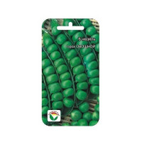 Горох 6 недель СибСад Ц