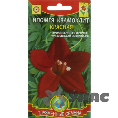 Ипомея Квамоклит Красная Плазма Ц