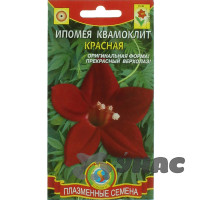 Ипомея Квамоклит Красная Плазма Ц