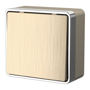 Werkel выкл. ОУ 1 кл. 10A Gallant (шампань рифленый) W5010010 a051039