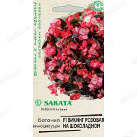 КОМ Бегония Викинг розовая на шоколадном Гавриш Ц