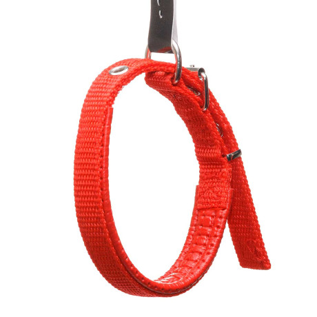 Ошейник 40*1,5 см брезент с акрил пен МИКС NA2625 (600