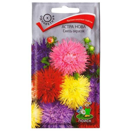 Астра нова Смесь окрасок Поиск Ц