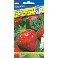 Клубника Грандиан Престиж Ц