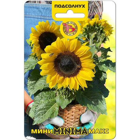 Семена Подсолнух Мини-Макс Минима Биотехника Ц