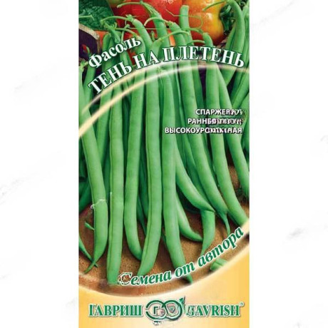 Фасоль Тень на плетень Гавриш Ц