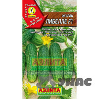 Огурец Либелле Аэлита Ц