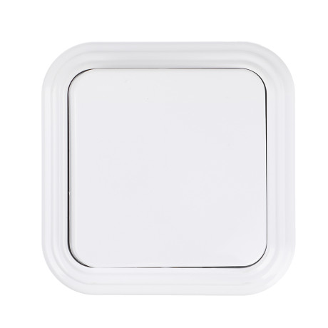 FORZA Выключатель одноклавишный открытой установки VA1 6-131-Б, 250В, 6А, IP20, 65х65х31 мм, белый У