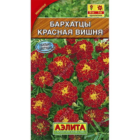 Бархатцы Красная вишня отклоненные  Аэлита Ц