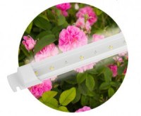 ЭРА FITO св-к св/д линейный д/раст.T5 10W фито 18.6мкм/c 528x21,8x13,8 полн.спектр шнур0,5 вилка 600