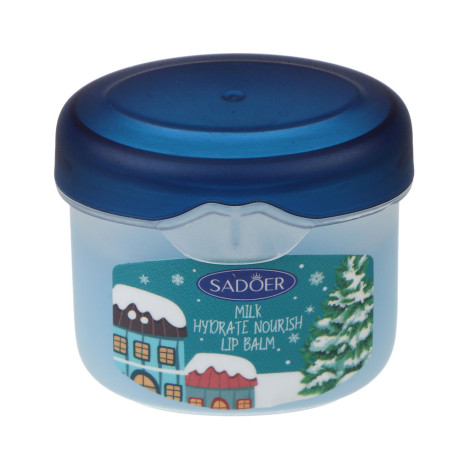 Набор 8 шт (кремы для рук 4 шт х 30гр, бальзамы для губ 4 шт х 7гр) тм SADOER Merry Xmas, подар.уп.