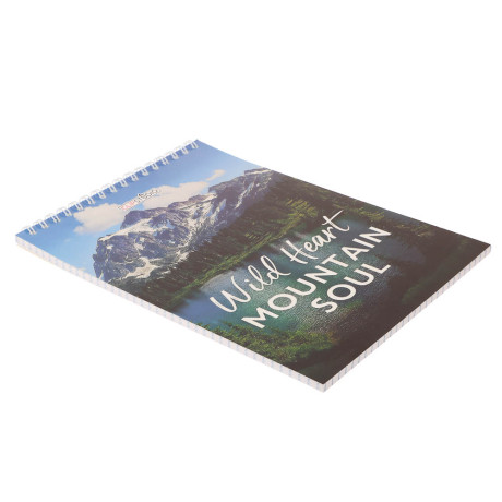 Блокнот А5, 40 листов, офсет, обложка картон, спираль, в клетку, в ассортименте