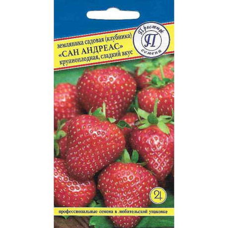 Земляника Сан Андреасс Престиж Ц