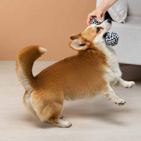 VETTA Игрушка для домашних животных, ПЭ, 27х7 см