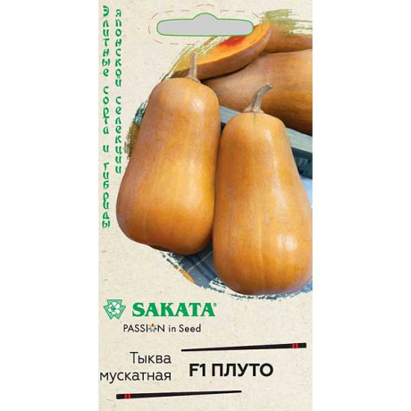 Тыква Плуто Гавриш Ц