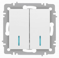 ЭРА Intro Accent мех. выкл. СУ 2 кл. (инд.) 10А 250В, белый матовый 6-105-01М