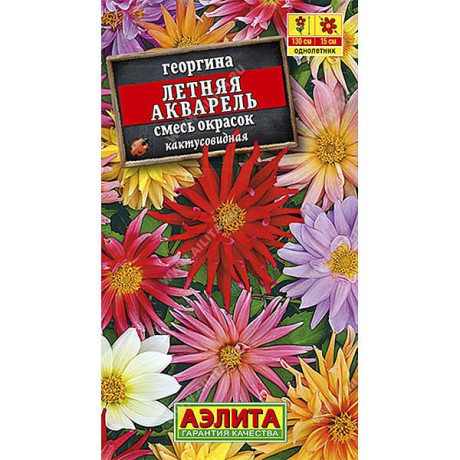 Георгин Летняя акварель смесь Аэлита Ц