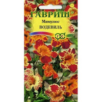 Мимулюс Водевиль смесь Гавриш Ц