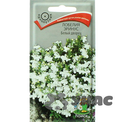 Лобелия Белый дворец Поиск Ц