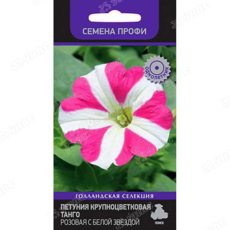 Петуния Танго розовая с белой звездой Поиск Ц