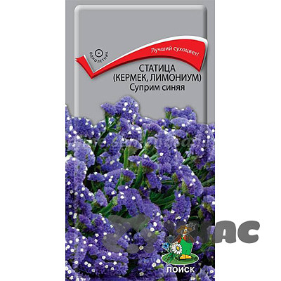 Статица Суприм Синяя Поиск Ц