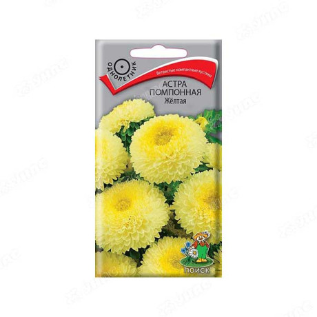 Астра помпонная Желтая Поиск Ц